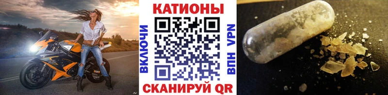где купить   Сунжа  МЯУ-МЯУ VHQ 