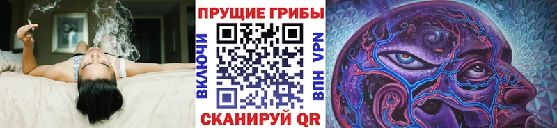 Галлюциногенные грибы ЛСД  omg ТОР  даркнет какой сайт  Сунжа 